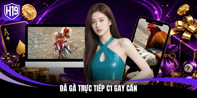 Đá Gà Trực Tiếp C1 – Theo Dõi Thomo Cực Đã Trên H19 2 Đá gà trực tiếp C1 gay cấn
